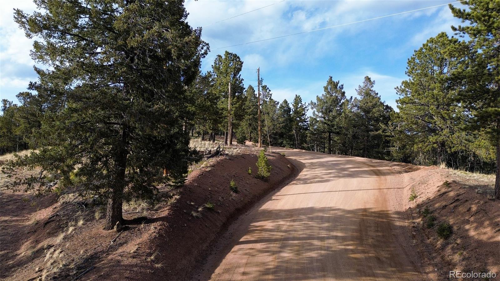 239 Homestead Road Divide, CO 80814 - Photo 3 of 24