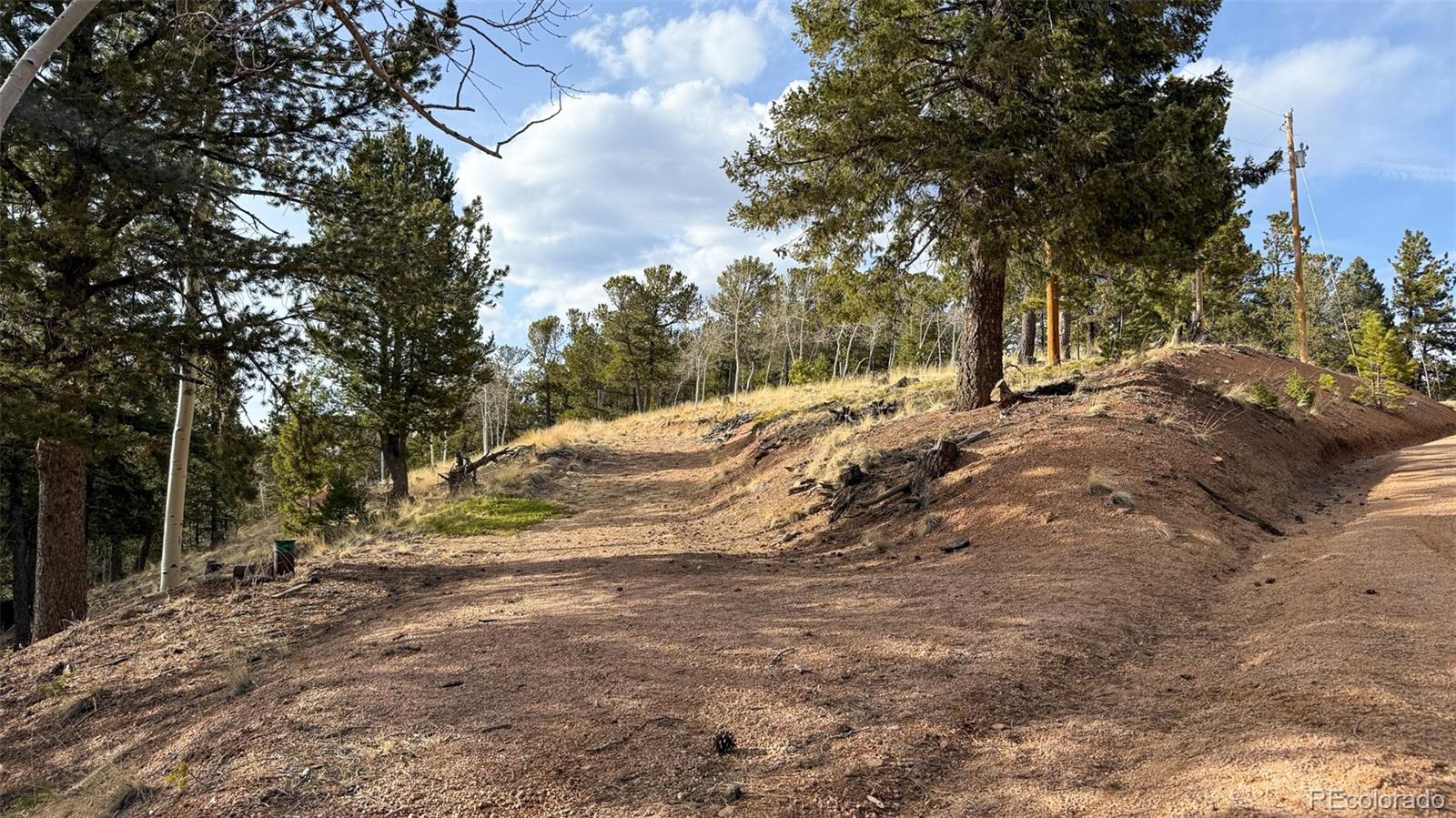 239 Homestead Road Divide, CO 80814 - Photo 4 of 24