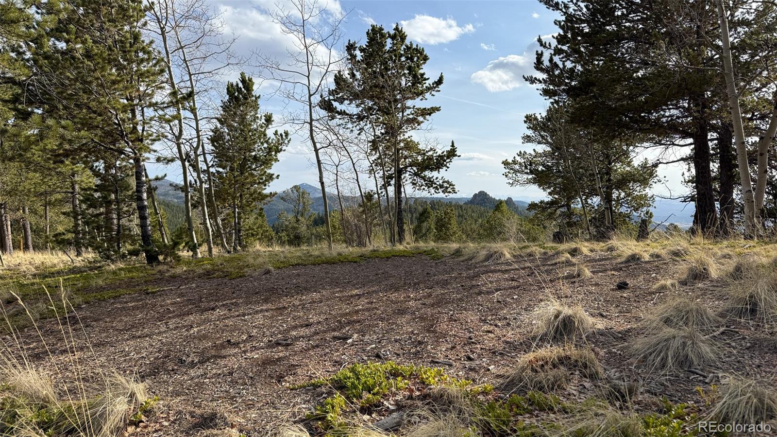 239 Homestead Road Divide, CO 80814 - Photo 5 of 24