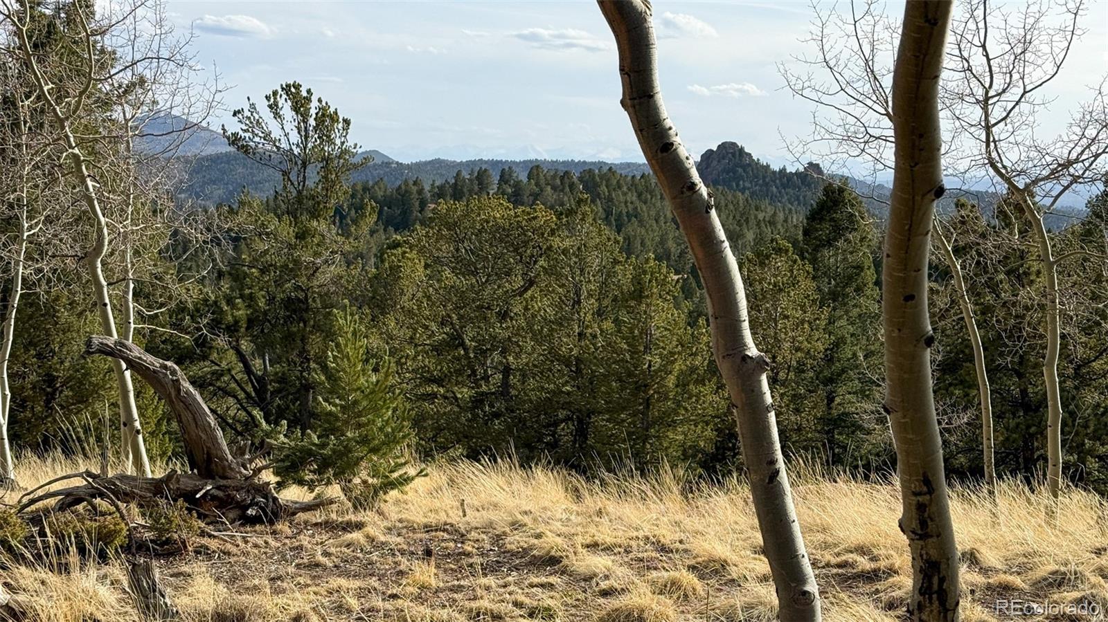 239 Homestead Road Divide, CO 80814 - Photo 8 of 24