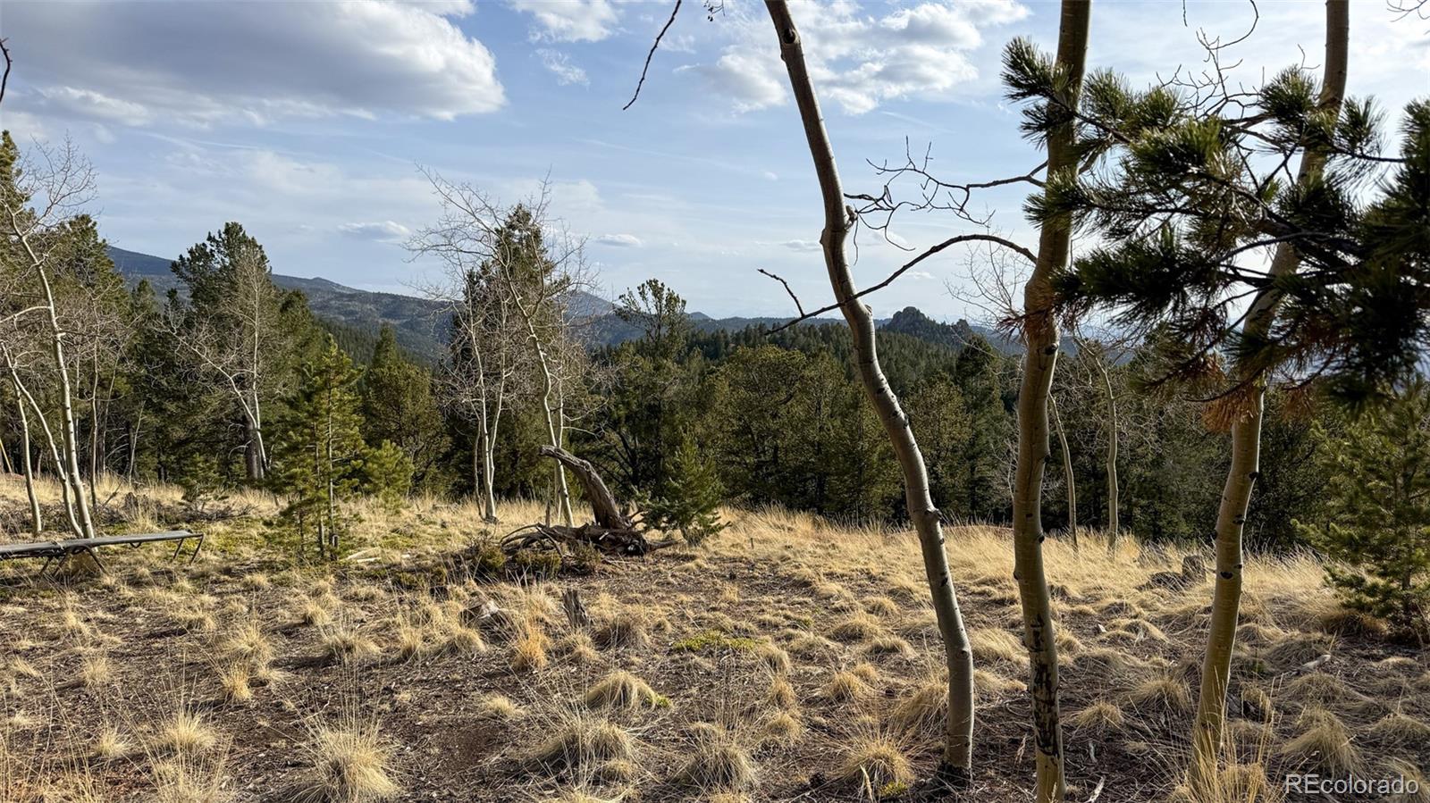 239 Homestead Road Divide, CO 80814 - Photo 9 of 24