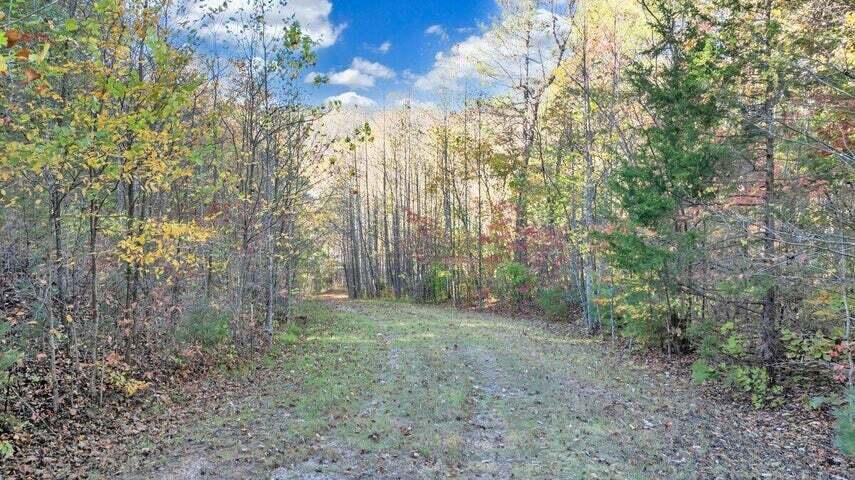 0 Six Mile Post Road Callaway, VA 24067 - Photo 18 of 73 a view of a forest with trees in the background