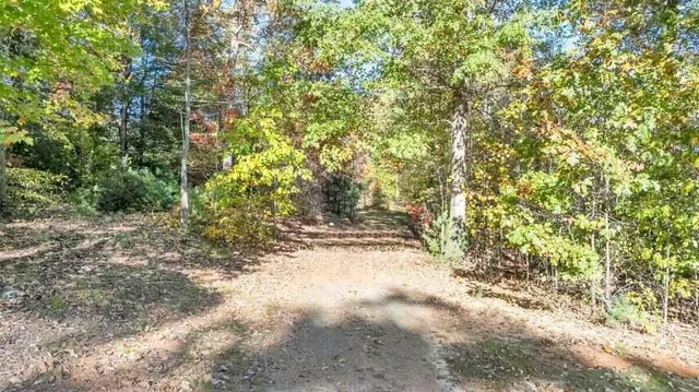 a view of a small barn in the middle of forest