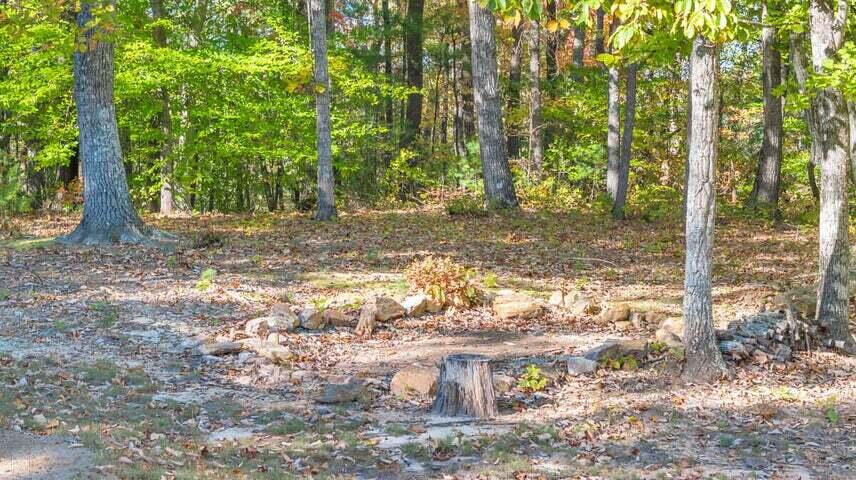 0 Six Mile Post Road Callaway, VA 24067 - Photo 28 of 73 a view of a yard with plants and large trees