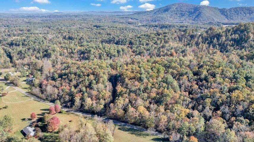 0 Six Mile Post Road Callaway, VA 24067 - Photo 39 of 73 a view of a city with lush green forest