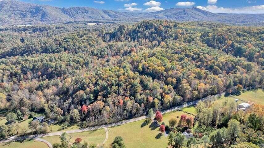 0 Six Mile Post Road Callaway, VA 24067 - Photo 41 of 73 a41