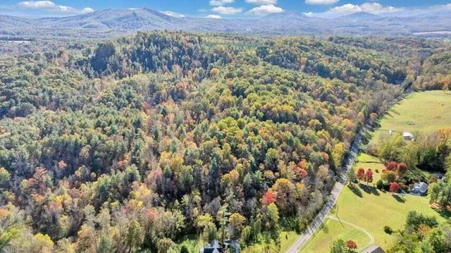 a view of outdoor space with trees