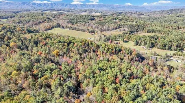 a view of outdoor space and green space