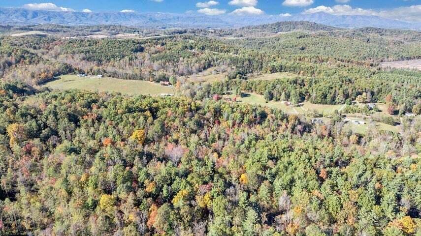 0 Six Mile Post Road Callaway, VA 24067 - Photo 49 of 73 a view of mountain with trees in the background