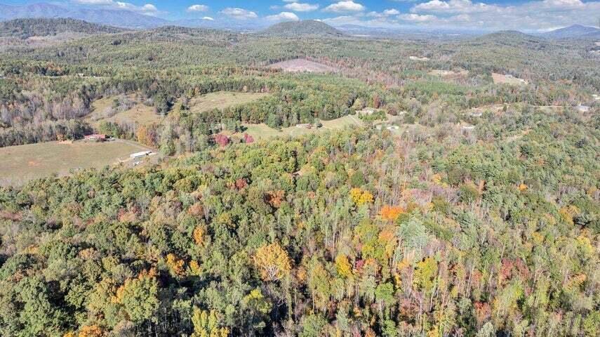 0 Six Mile Post Road Callaway, VA 24067 - Photo 51 of 73 a view of a field