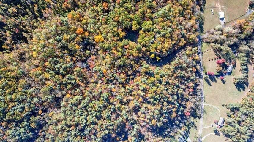 0 Six Mile Post Road Callaway, VA 24067 - Photo 58 of 73 a picture of a tree