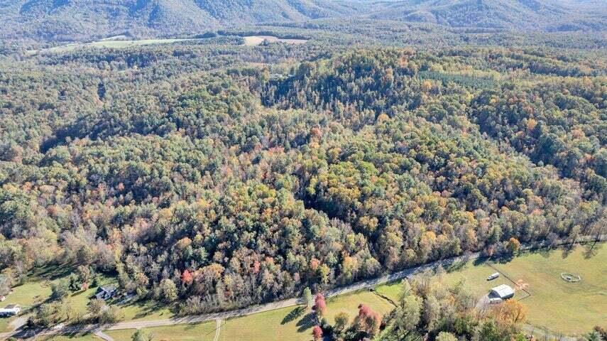 0 Six Mile Post Road Callaway, VA 24067 - Photo 60 of 73 a60