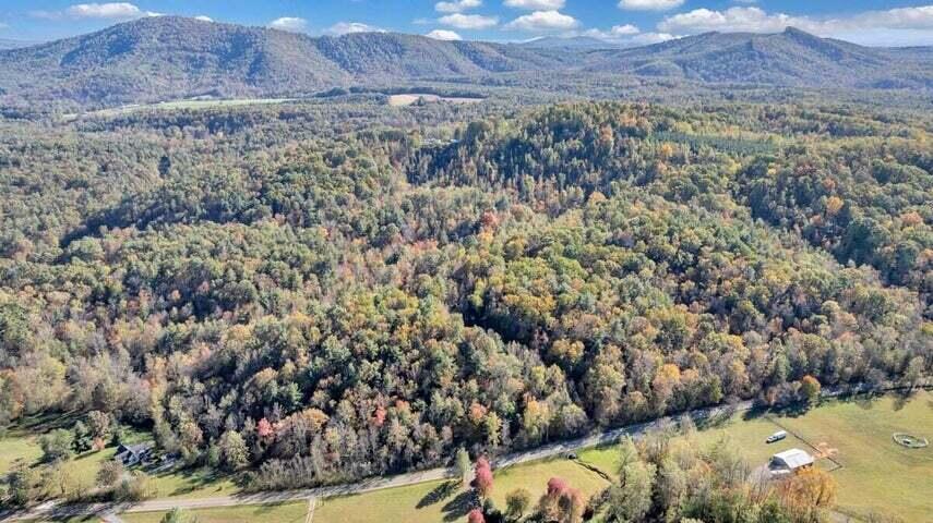 0 Six Mile Post Road Callaway, VA 24067 - Photo 61 of 73 a61