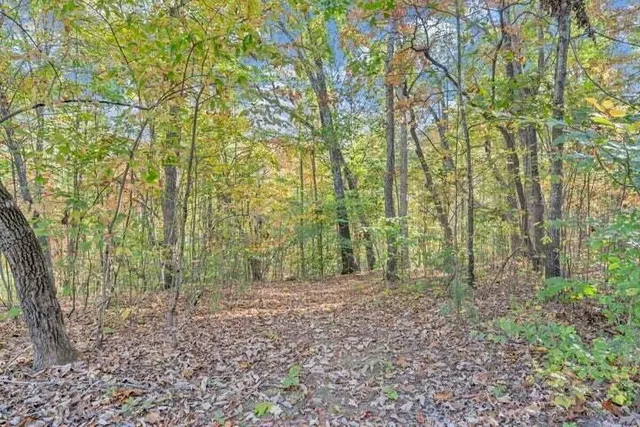 $199,000 | 0 Six Mile Post Road, Callaway, VA 24067