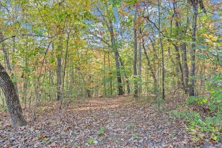 0 Six Mile Post Road Callaway, VA 24067 - Photo 71 of 73 a view of outdoor space and green space