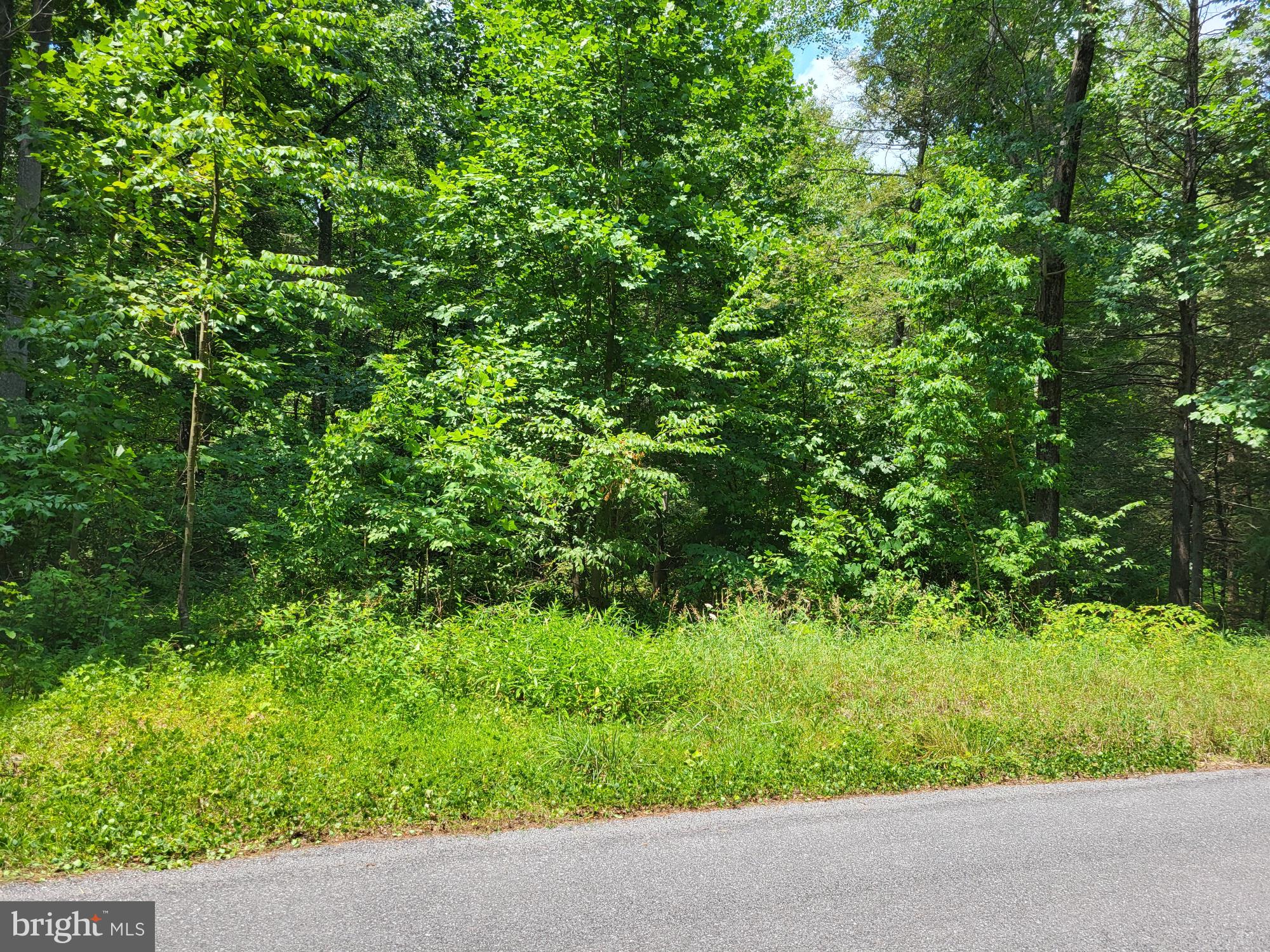1 Pine Tree Road Orrtanna, PA 17353 - Photo 4 of 5 Gallery Image 4