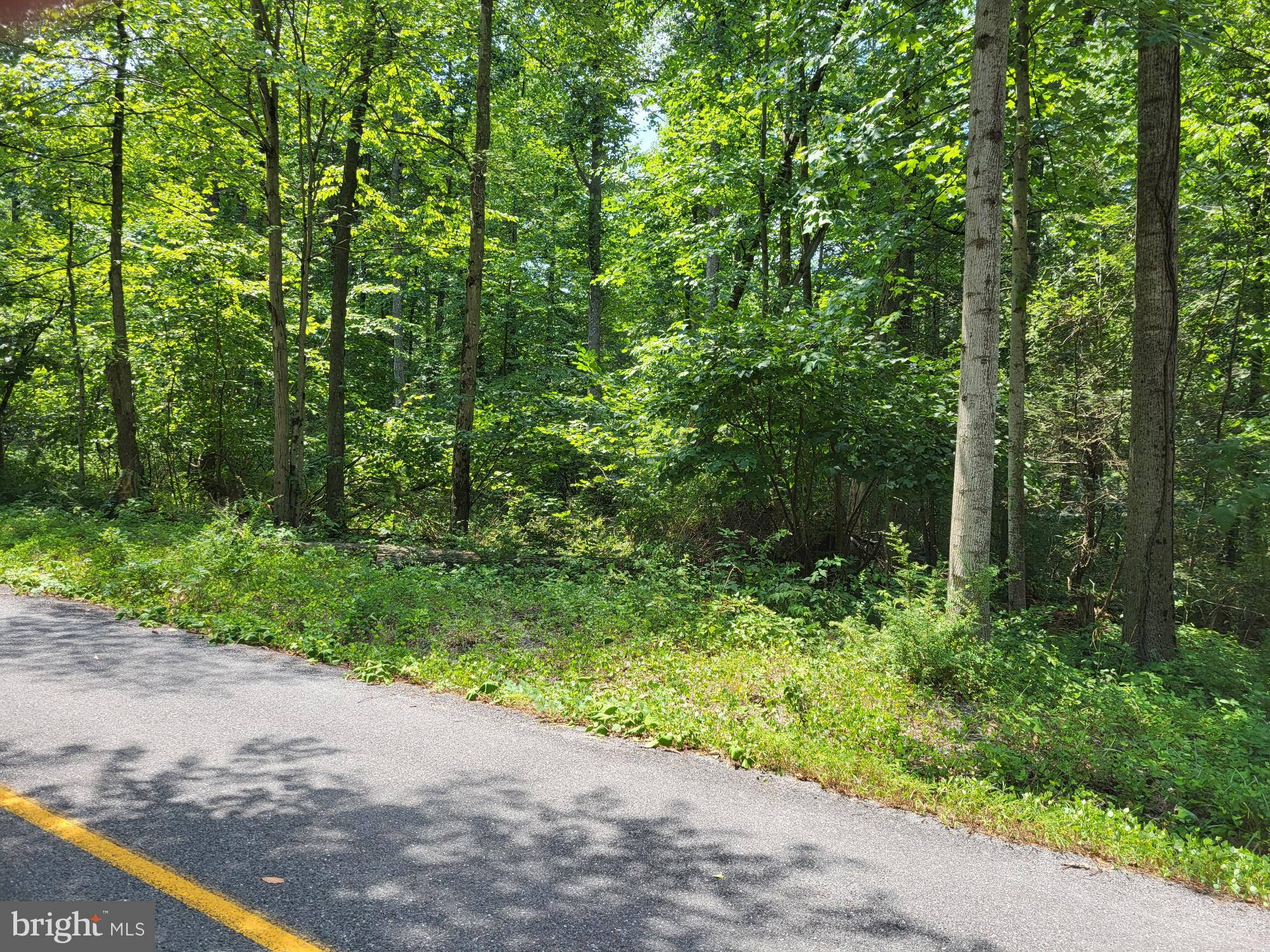 1 Pine Tree Road Orrtanna, PA 17353 - Photo 5 of 5 Gallery Image 5