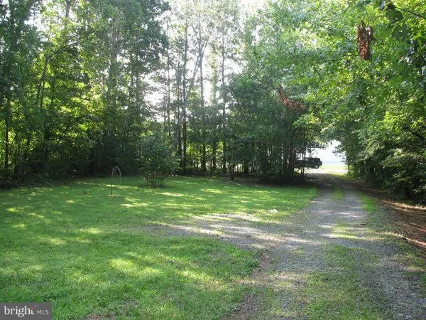 a view of a trees in a yard