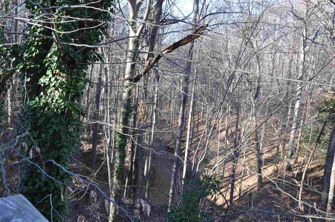 1200 Bancroft Street Raleigh, NC 27612 - Photo 2 of 16 View