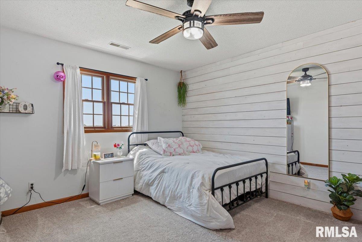 20205 North 20th Avenue Nokomis, IL 62075 - Photo 36 of 88
