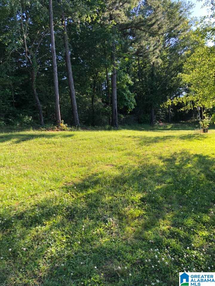 44 Merrell Beach Road Shelby, AL 35143 - Photo 4 of 10