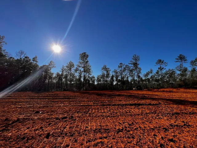 $300,000 | 4455 Hillister Tx 77624, Hillister, TX 77624