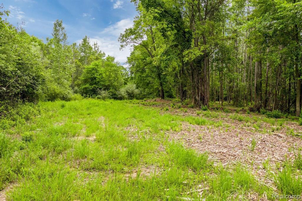 Lot Riviera Riviera Shores Drive Holly, MI 48442 - Photo 11 of 21