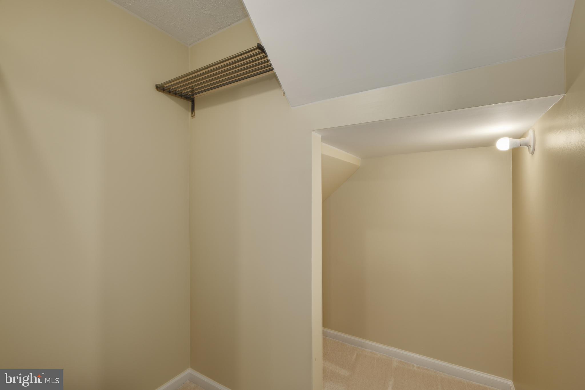 8174 Cliffview Avenue Springfield, VA 22153 - Photo 44 of 55 Huge finished storage closet below LL stairs!