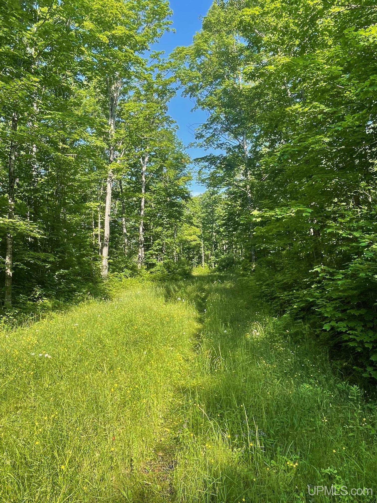 Tbd A Off Gay Road Lake Linden, MI 49945 - Photo 3 of 15
