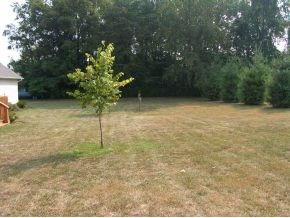 119 Jaynes Road Johnson City, TN 37601 - Photo 3 of 9 Photo 3
