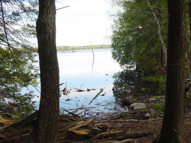 On Camp Nokomis Road, Unit LOT 403 Mercer, WI 54547 - Photo 7 of 14 Gallery Image 7