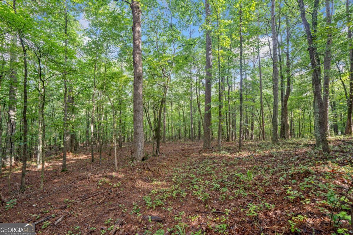 225 Brock Trail, Unit 2 Milton, GA 30004 - Photo 17 of 28 a view of outdoor space with lots of trees
