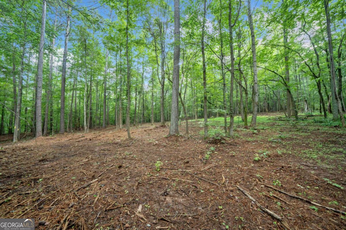 225 Brock Trail, Unit 2 Milton, GA 30004 - Photo 4 of 28 a view of forest with trees