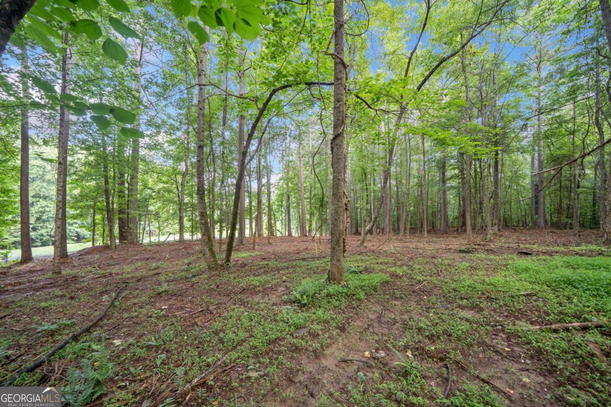 225 Brock Trail, Unit 2 Milton, GA 30004 - Photo 7 of 28 a view of outdoor space with trees