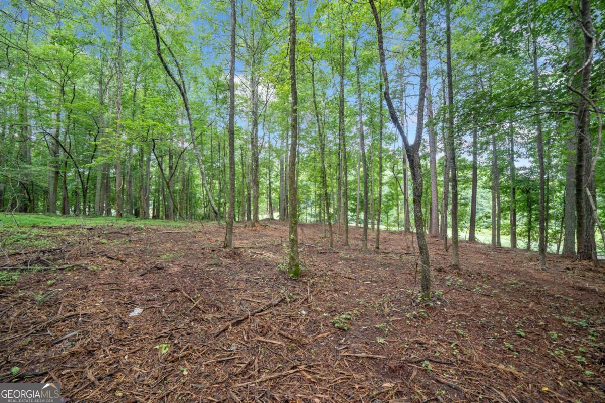 225 Brock Trail, Unit 2 Milton, GA 30004 - Photo 8 of 28 a view of outdoor space and trees