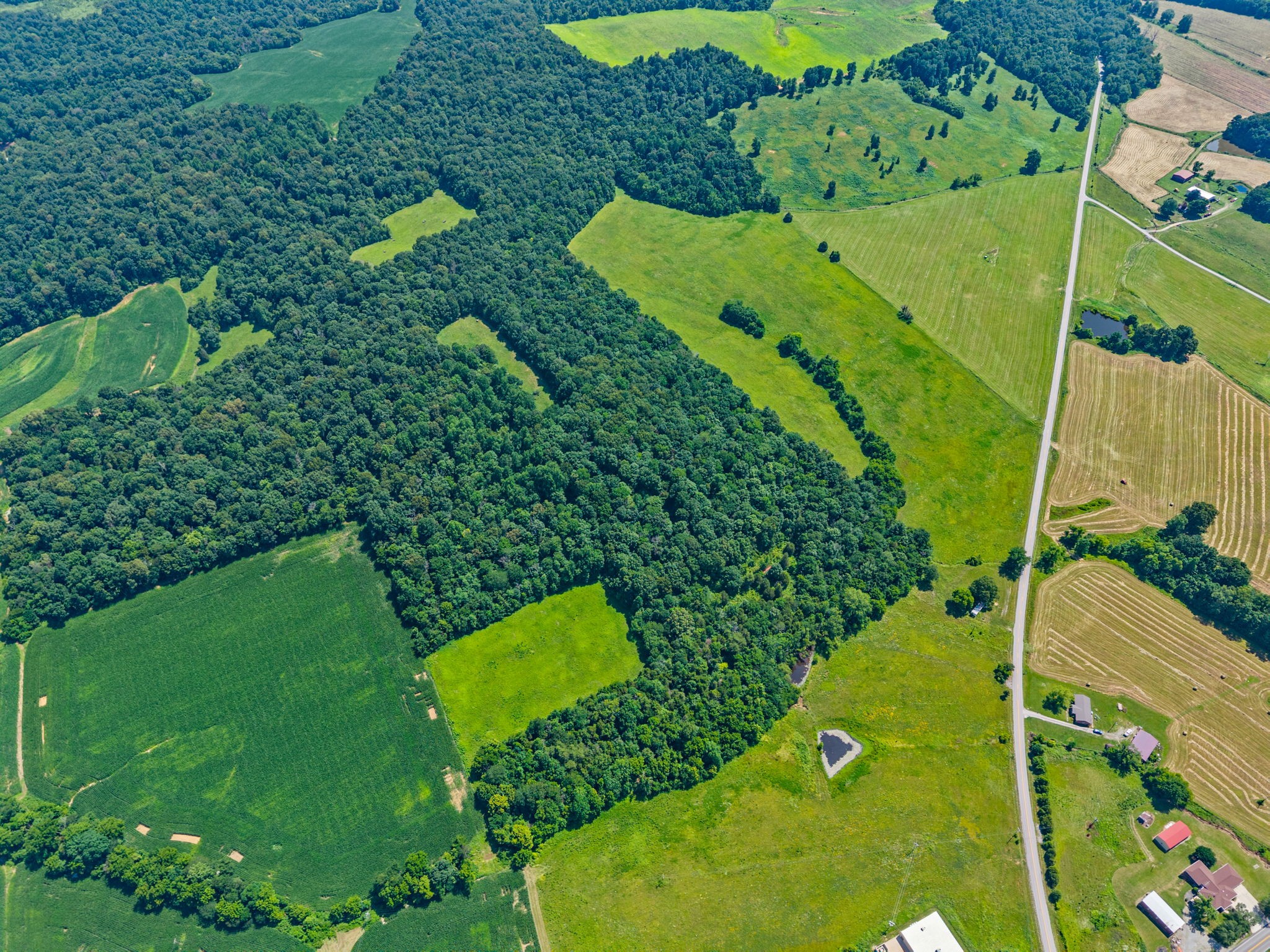 0 Highway 672 Princeton, KY 42445 - Photo 5 of 41