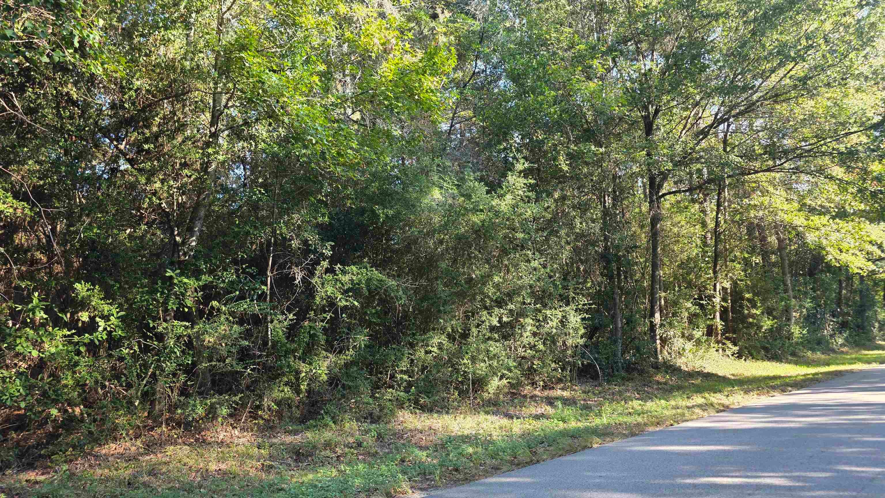 228 Co Road Buna, TX 77612 - Photo 1 of 3 Gallery Image 1