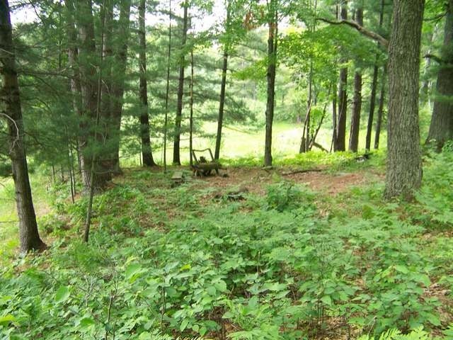 18-a On Cth Street Rhinelander, WI 54501 - Photo 6 of 20 Gallery Image 6