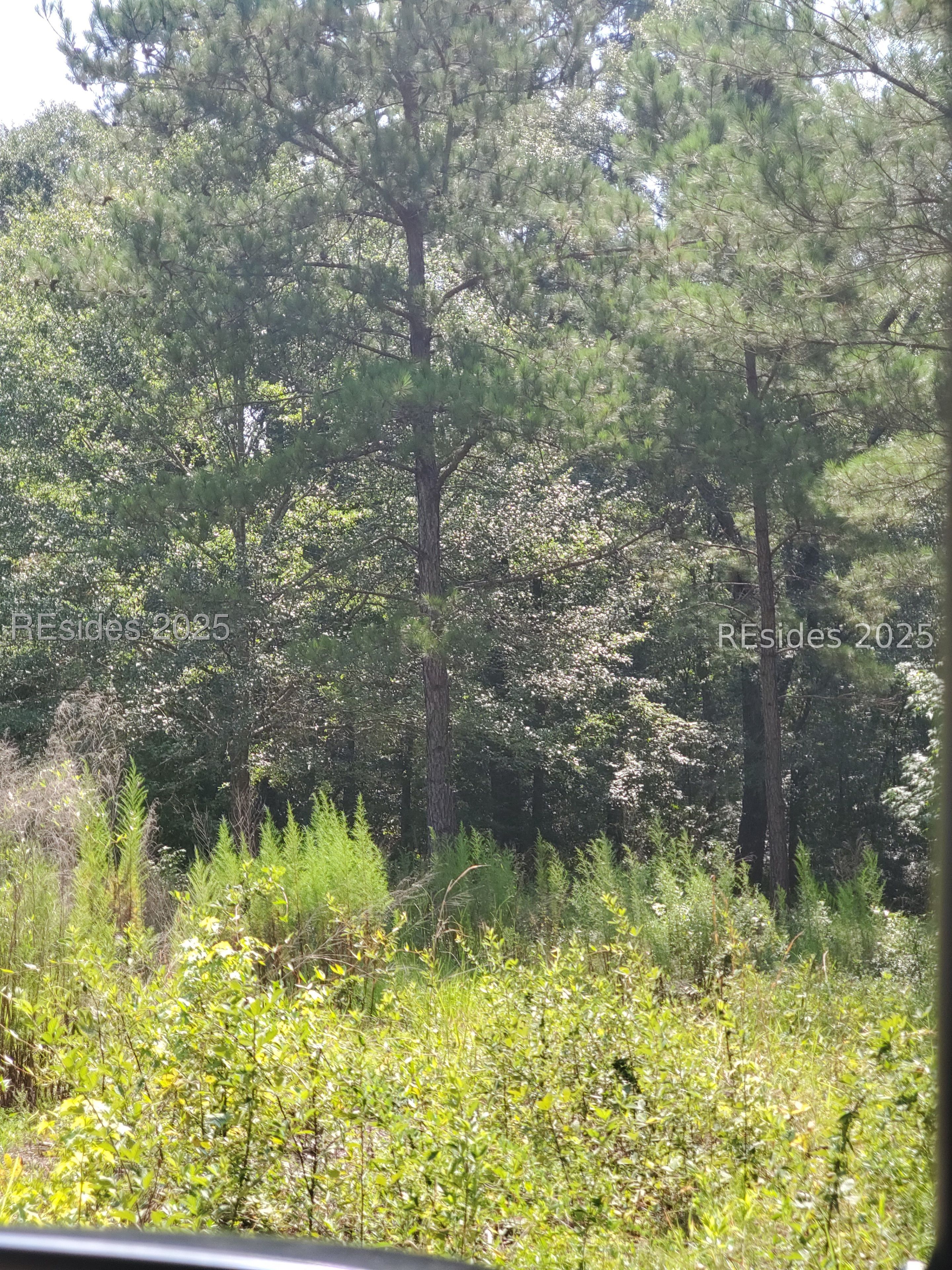 0 Firetower Road Ridgeland, SC 29936 - Photo 2 of 3 Property has wooded view