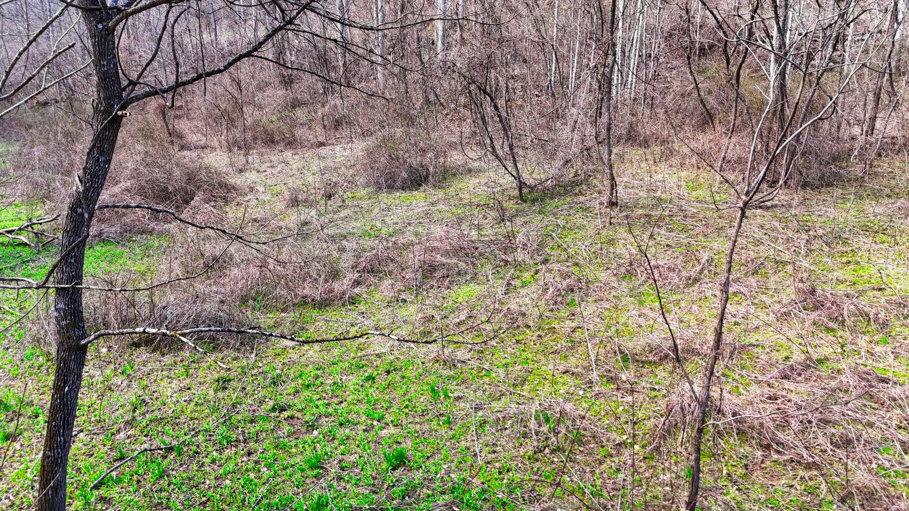 0 Sand Springs Road McKee, KY 40447 - Photo 44 of 58 DJI_20250318131432_0071_D