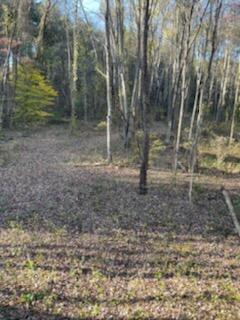 57640 St John Road Quaker City, OH 43773 - Photo 24 of 51 Trail-6
