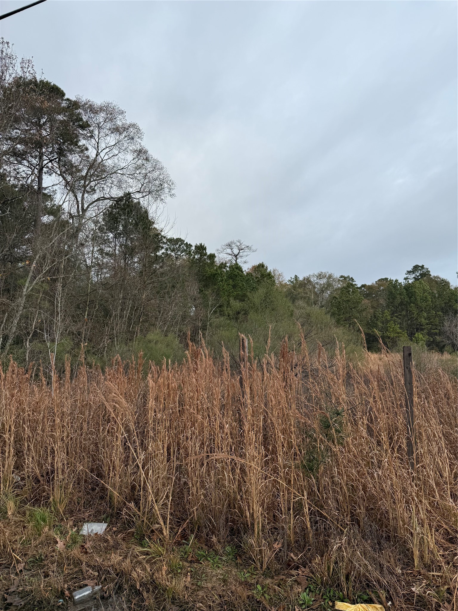 Tbd Tbd River East Splendora, TX 77372 - Photo 2 of 7 a view of a lake and green valley
