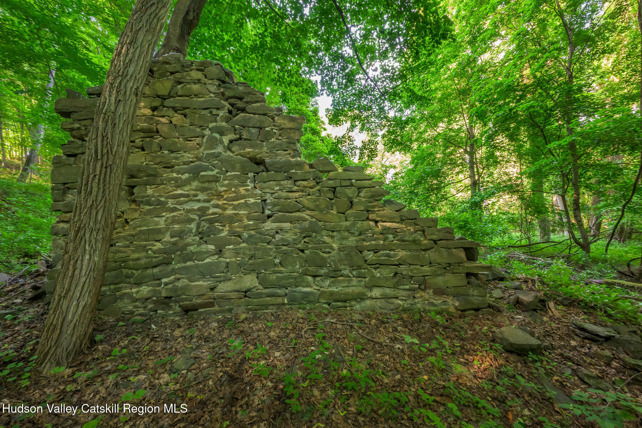 1530 River Road New Baltimore, NY 12192 - Photo 26 of 28 Screen - 1530 River Rd West Coxsackie NY