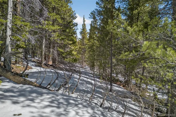 $14,500 | 846 Lincoln Drive, Idaho Springs, CO 80452