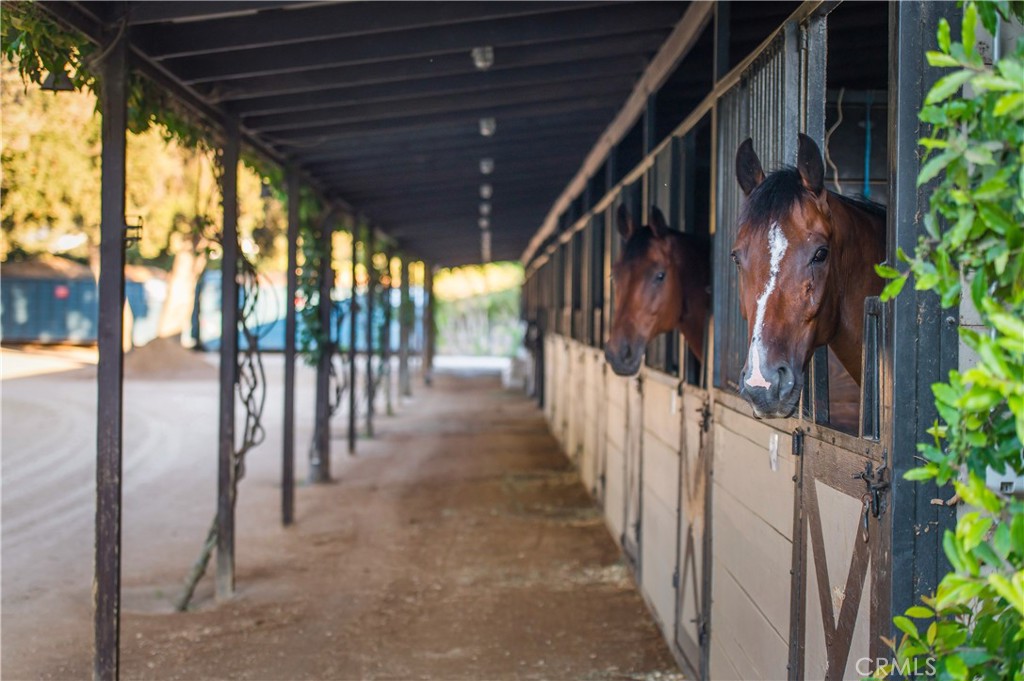 28750 Martingale Drive San Juan Capistrano, CA 92675 - Photo 42 of 45 a view of staircase with lots of green space