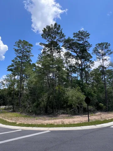 a view of swimming pool with a yard and large trees