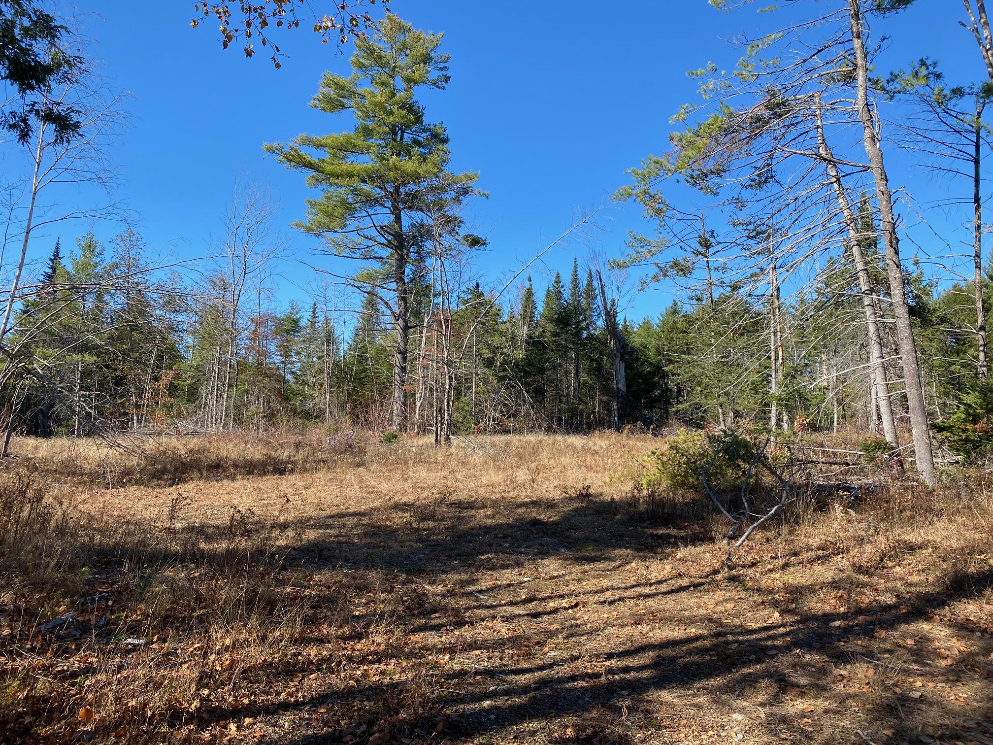 0 Bunker Road Etna, ME 04434 - Photo 2 of 7 2