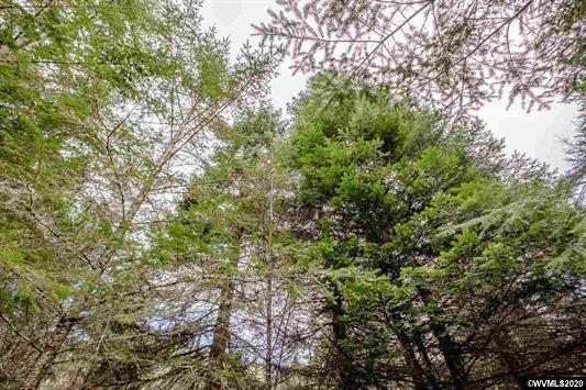 26662 Fern Ridge Road Sweet Home, OR 97386 - Photo 28 of 35 Additional Photo