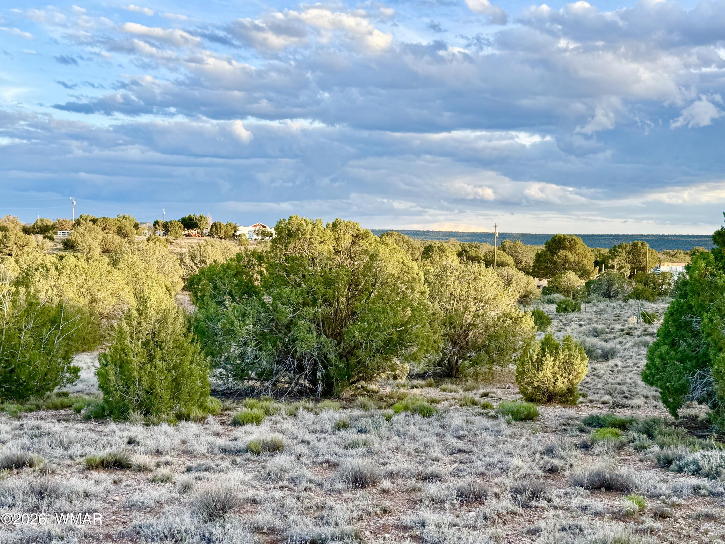 4428 Colt Road Snowflake, AZ 85937 - Photo 12 of 22 IMG_6158