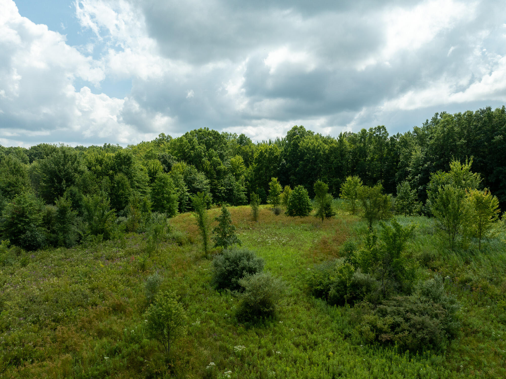 DJI_0831